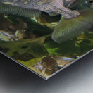 Colorful Fish Metal print