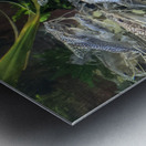 Colorful Fish Metal print