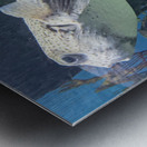 Puffer Fish Metal print