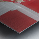 vid2 Metal print