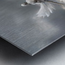 wings4 Metal print