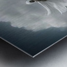 wings3 Metal print