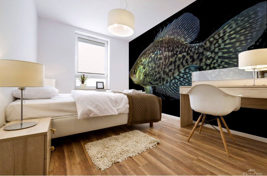GoldenFish Mural print