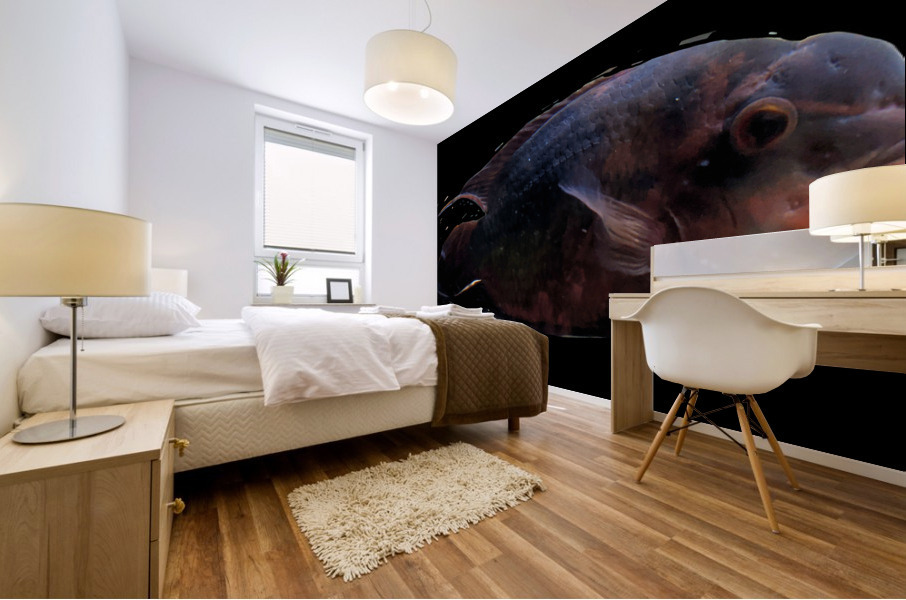 RedBlackFish Mural print