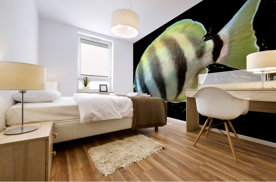 YellowandWhiteFish Mural print