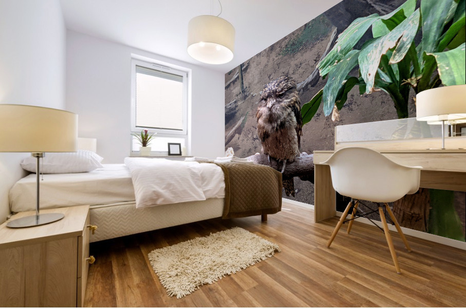 BirdOwl Mural print