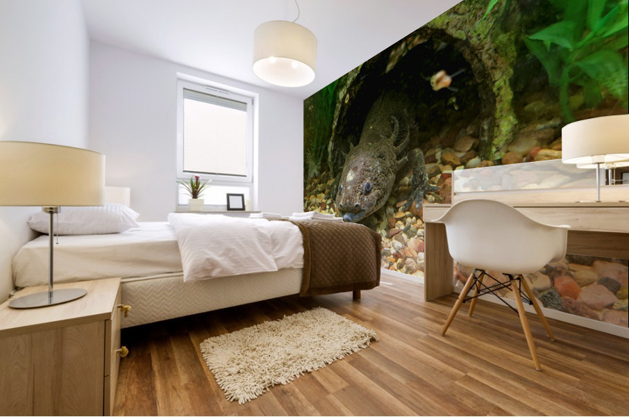 Axoltl Mural print