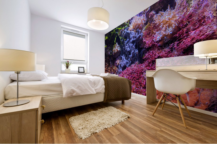 AquariumFishTank Mural print