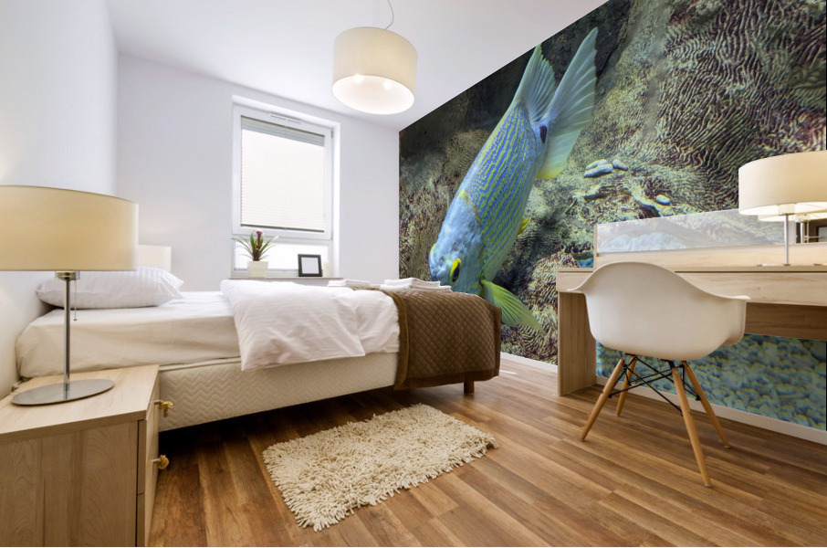 BlueYellowFish Mural print