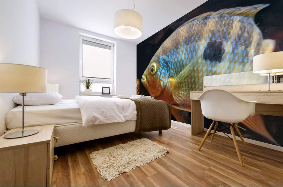 ColorfulFish Mural print