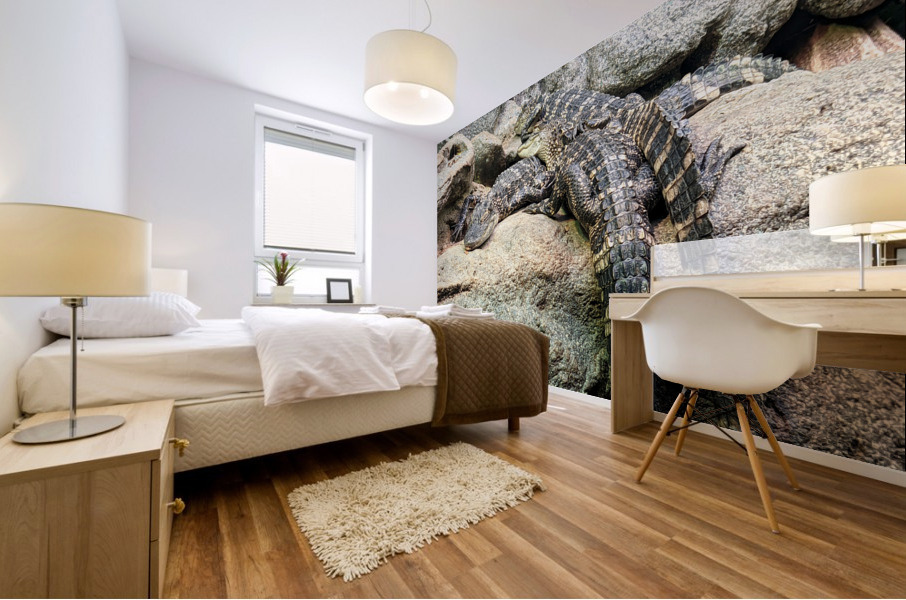 Crocodiles Mural print