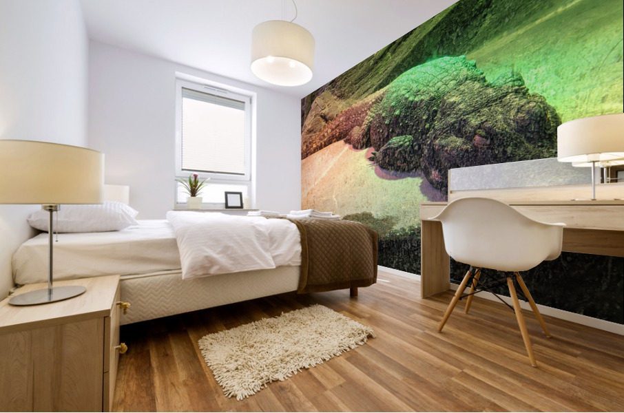 Crocodile Mural print