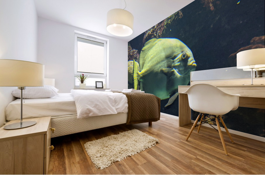 Fish Mural print