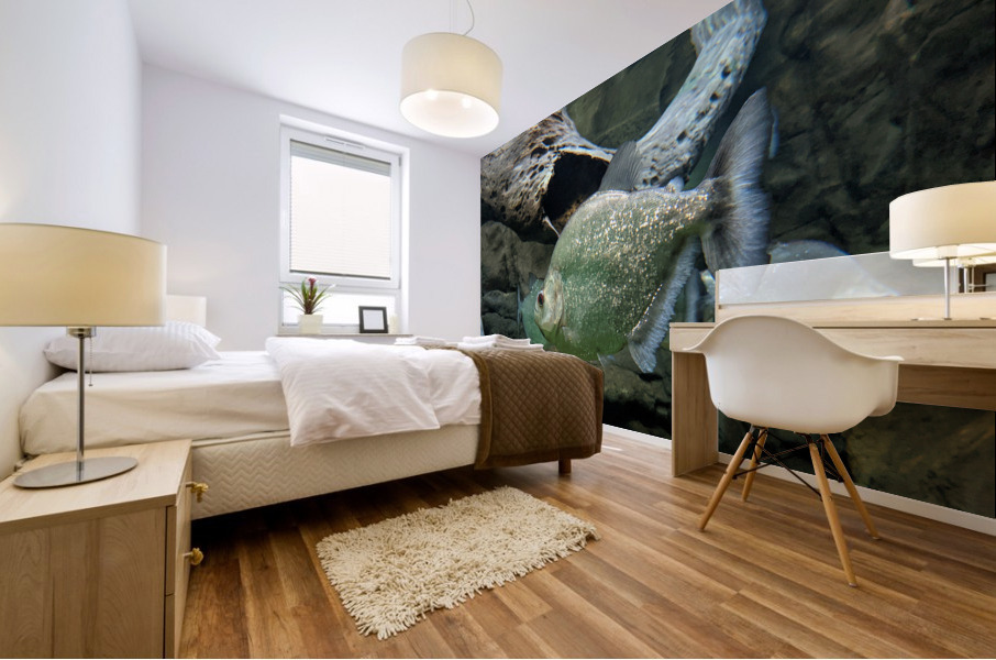 GlitterGreenFish Mural print