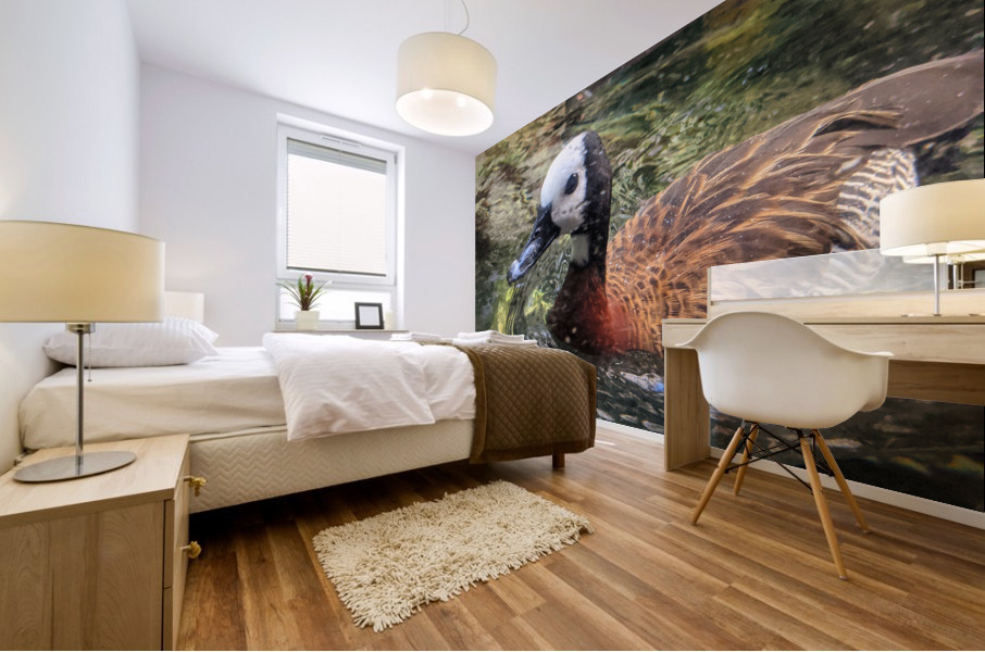 Duck Mural print