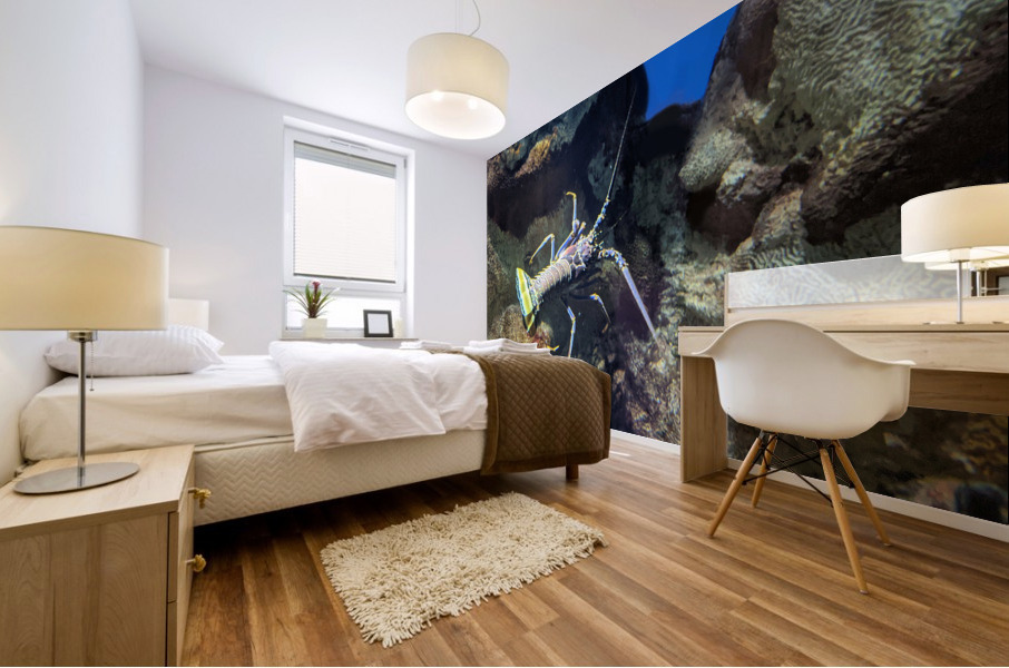 Lobster Mural print