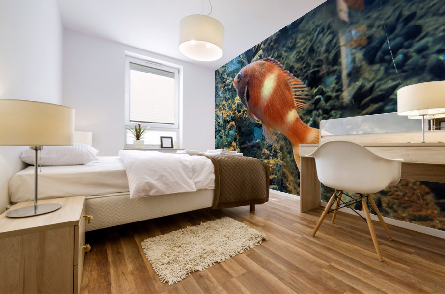OrangeFishScene Mural print