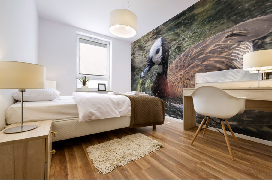 Duck Mural print