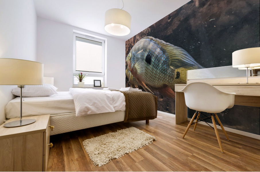 Colorful Fish Mural print