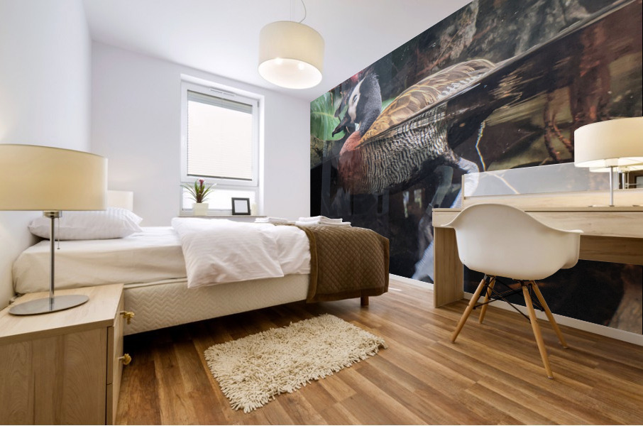 Duck Mural print