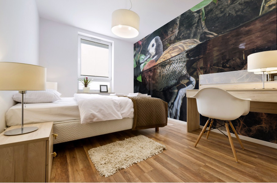 Duck Mural print