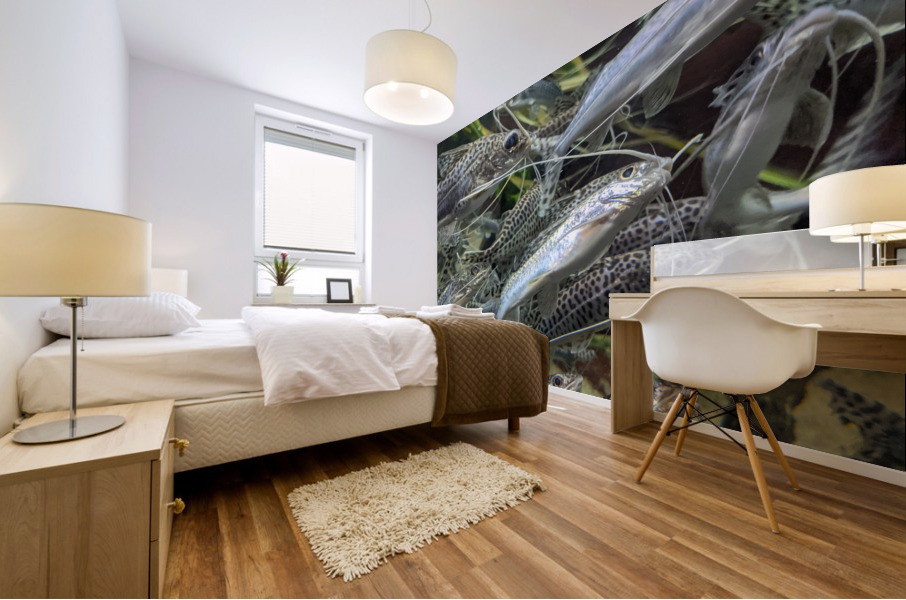 Colorful Fish Mural print