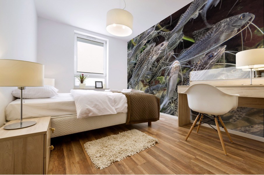 Colorful Fish Mural print