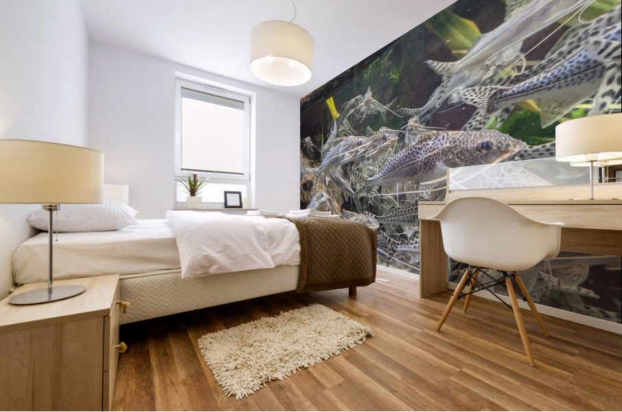 Colorful Fish Mural print