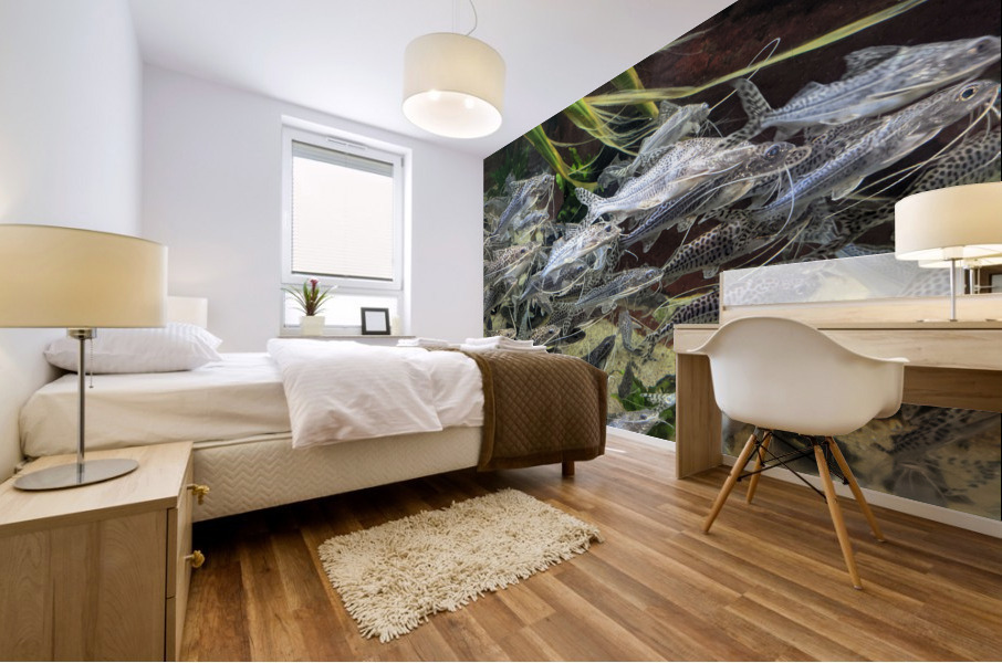Colorful Fish Mural print