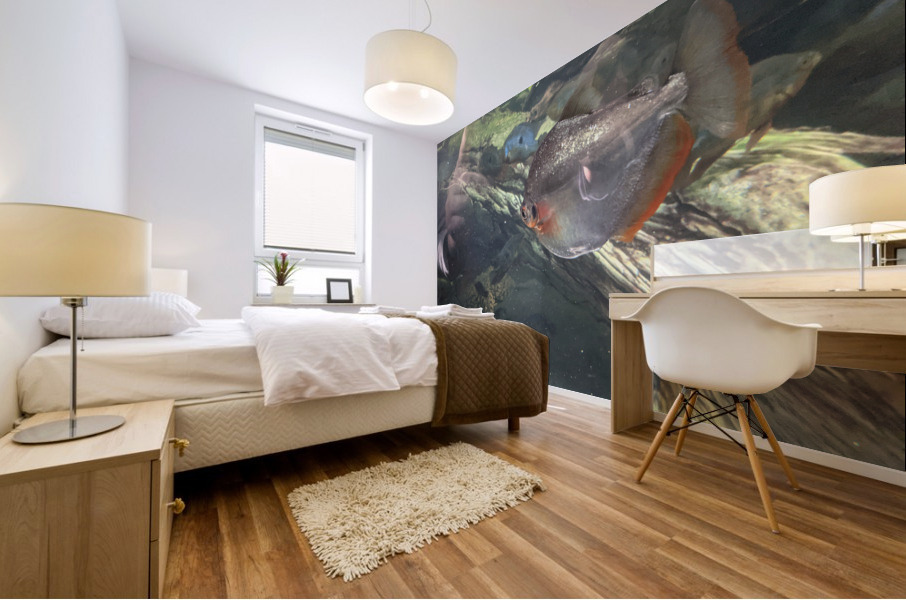 Colorful Fish Mural print