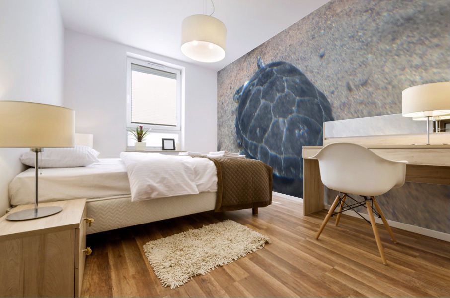 Turtle Mural print
