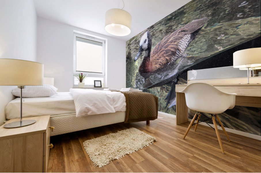 Duck Mural print