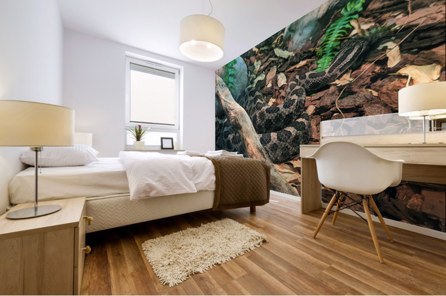 Snake Mural print