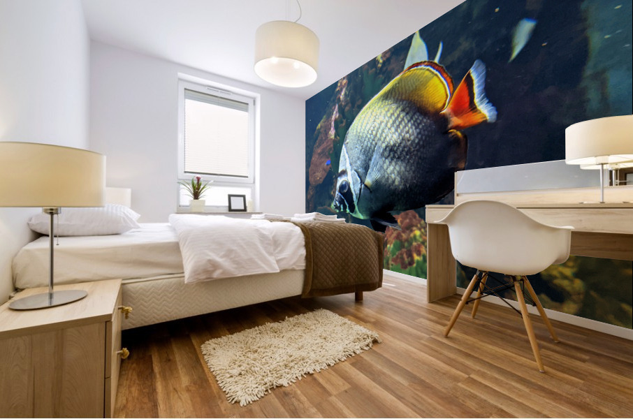 White Black Fish Mural print