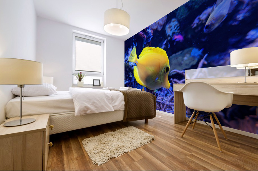 Yellow Fish Mural print