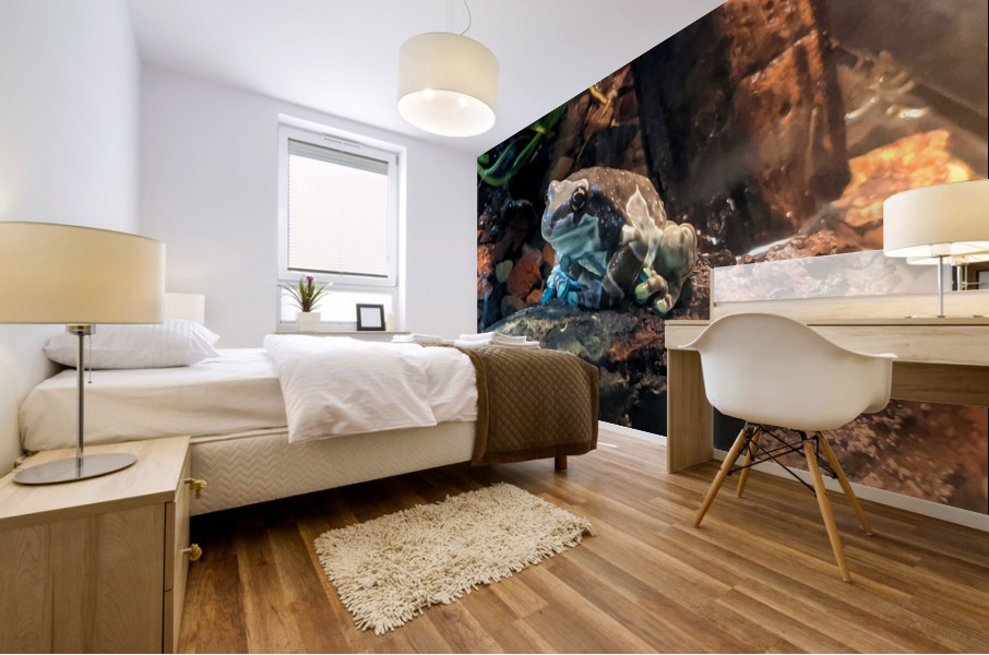 Toad Mural print