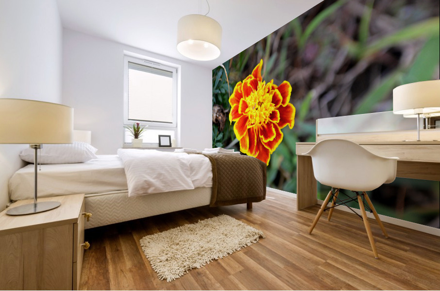 Yellow Red Flower Mural print