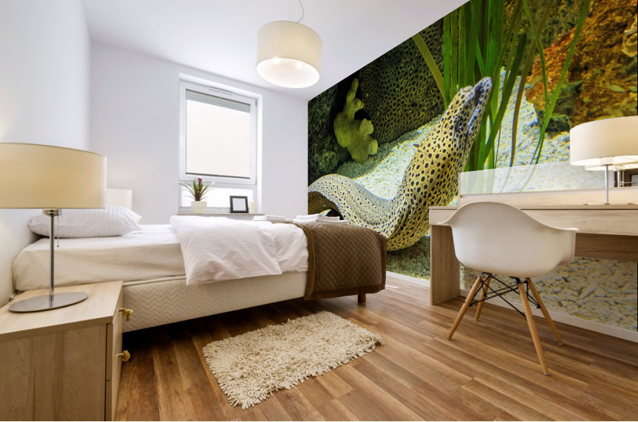 Yellow Eel Mural print