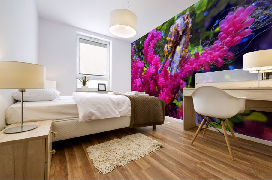Seahorse Mural print