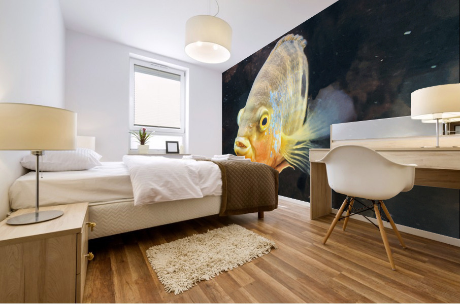Yellow Orange Fish Mural print