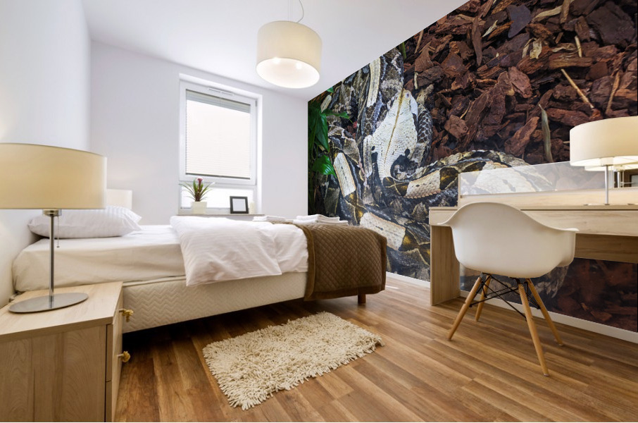White Snake Mural print