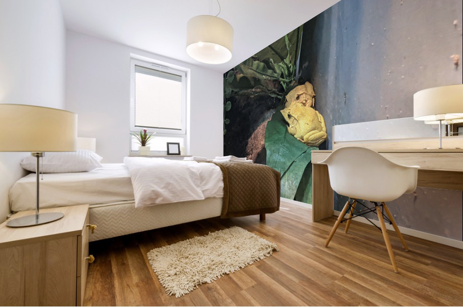 Yellow Frog Mural print
