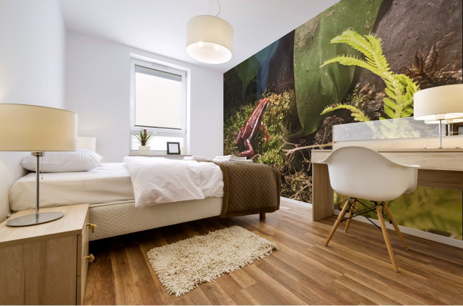 Red Frog Mural print