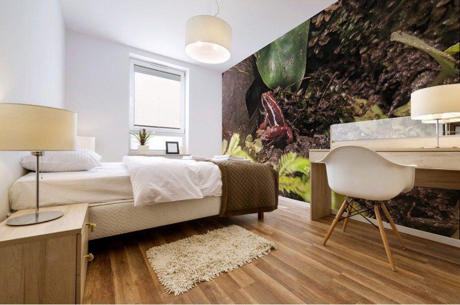 Red Frog Mural print