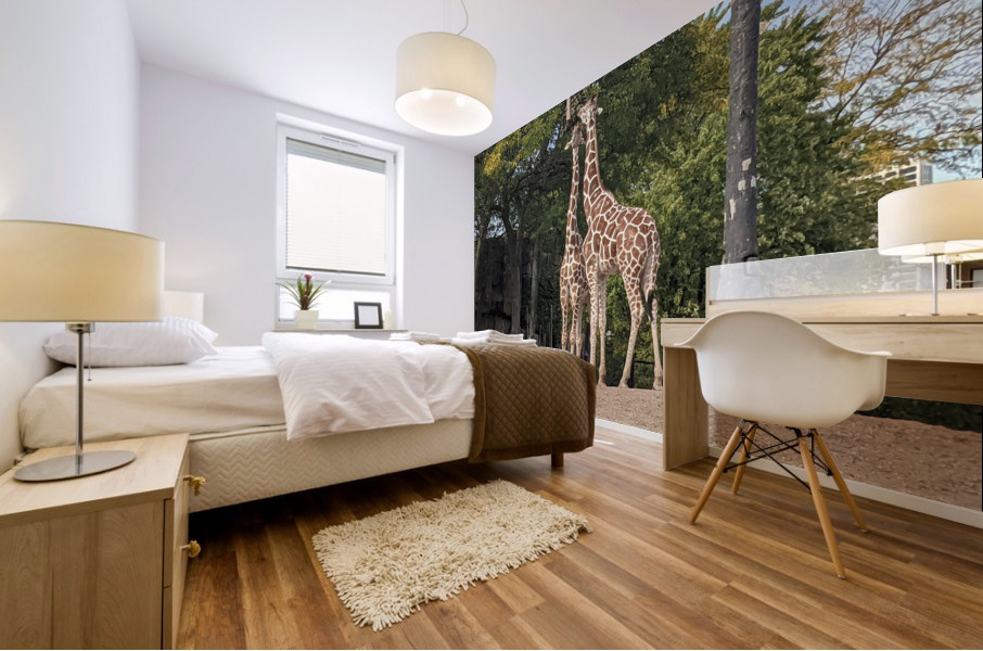 Giraffe Mural print
