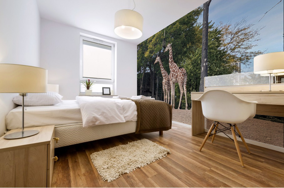 Giraffe Mural print