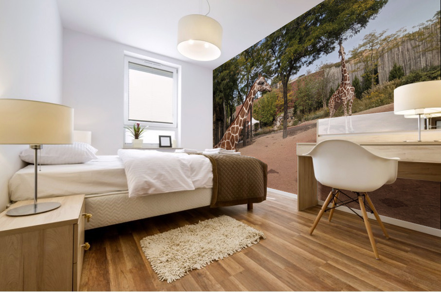 Giraffe Mural print