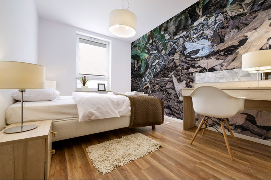Snake Mural print