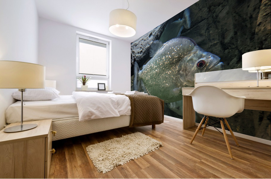 Colorful Fish Mural print