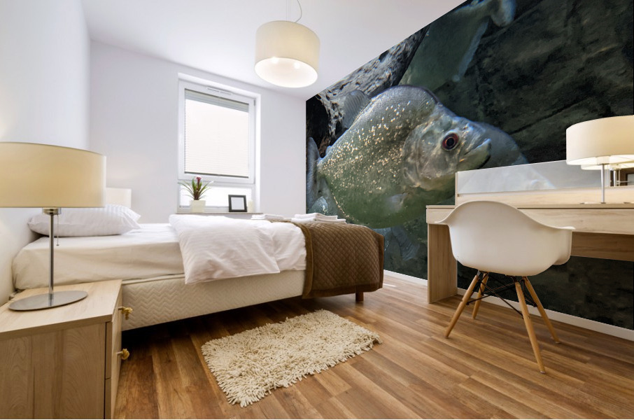 Colorful Fish Mural print